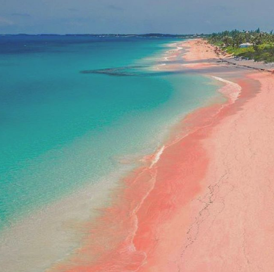 Розовый пляж ‒ Барбуда, Карибское море